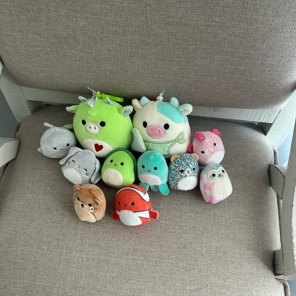 squishmallow pack